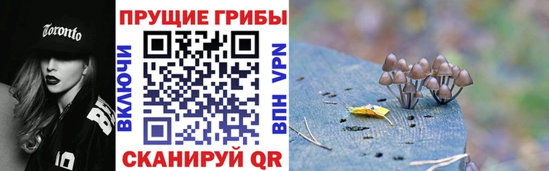 Галлюциногенные грибы Magic Shrooms Азнакаево